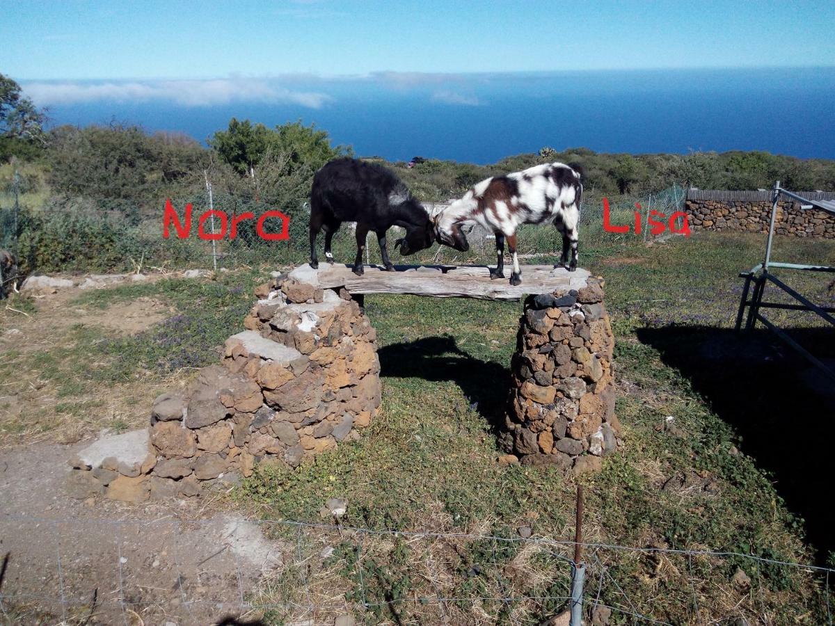 Finca La Ramona Isora Εξωτερικό φωτογραφία